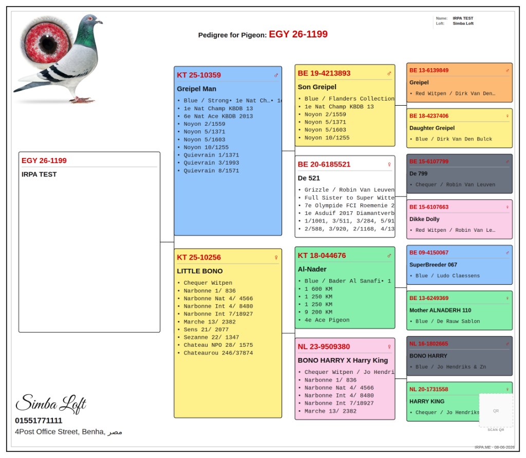 مثال شهادة تأصيل IRPA Loft — EGY 26-1199